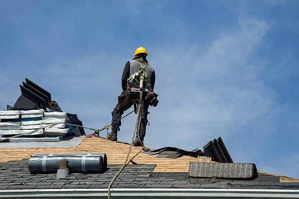 Professional Storm Damage Roof Repair technician working in Micanopy, FL